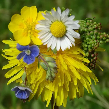 Ferienhaus-roemerthurm شقة *