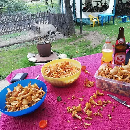 شقة Ferienhaus-roemerthurm