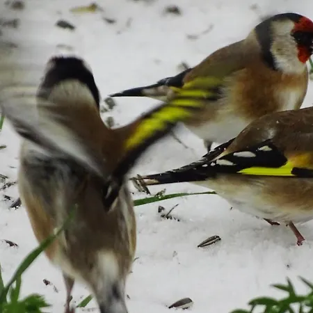 Ferienhaus-roemerthurm *