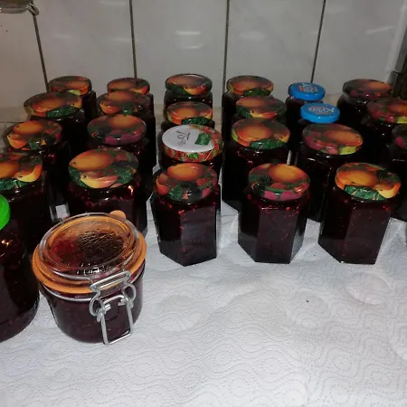 Ferienhaus-roemerthurm شقة *