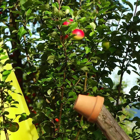 Ferienhaus-roemerthurm شقة *