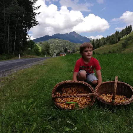 Lejlighed Ferienhaus-roemerthurm