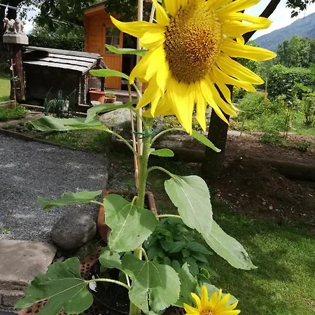 Ferienhaus-roemerthurm