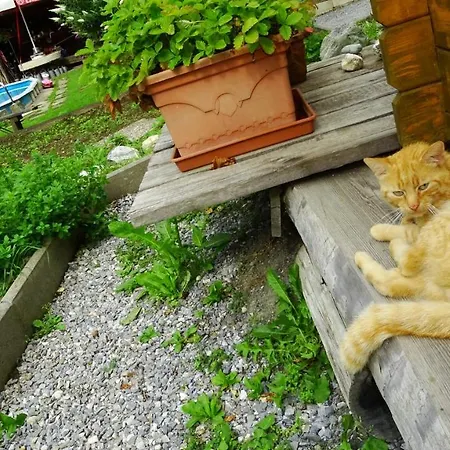 Ferienhaus-roemerthurm Daire