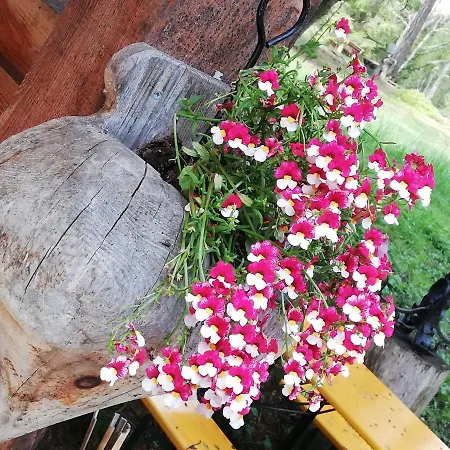 Ferienhaus-roemerthurm Daire