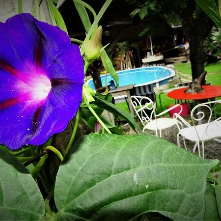 Ferienhaus-roemerthurm