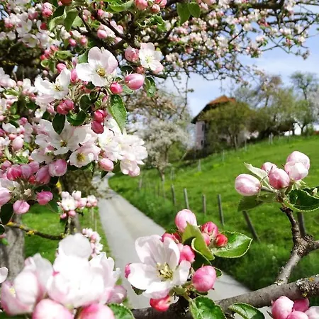 דירה Ferienhaus-roemerthurm Schöder