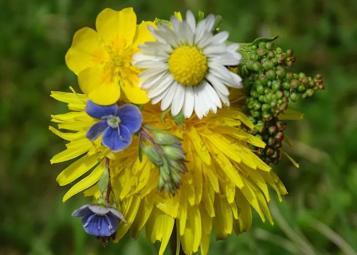 Ferienhaus-roemerthurm Apartment *