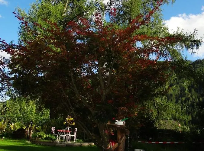 Apartment Ferienhaus-roemerthurm *