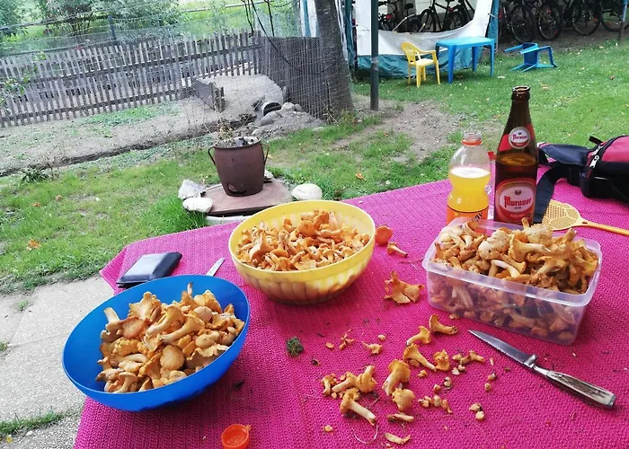 Apartment Ferienhaus-roemerthurm