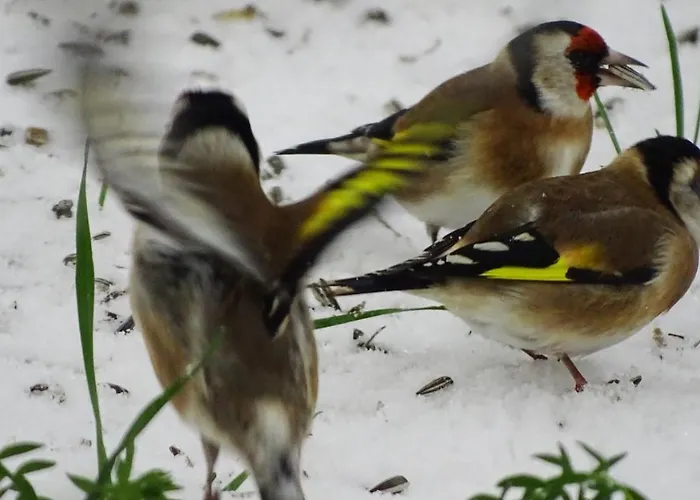 Ferienhaus-roemerthurm *