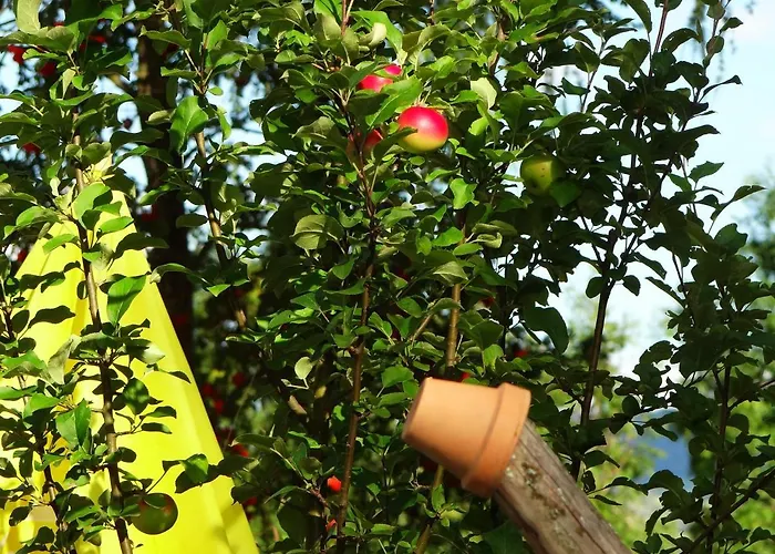 Ferienhaus-roemerthurm Appartement *