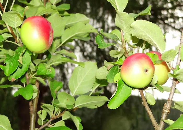 Ferienhaus-roemerthurm * Schöder