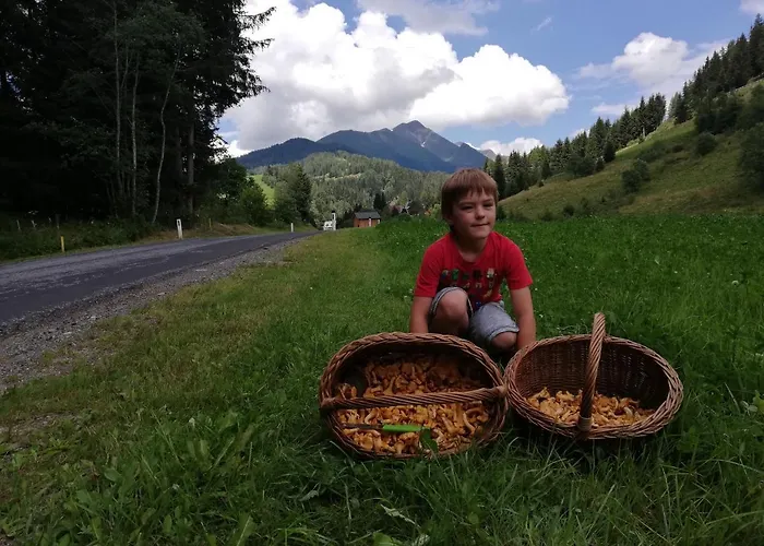 Appartement Ferienhaus-roemerthurm