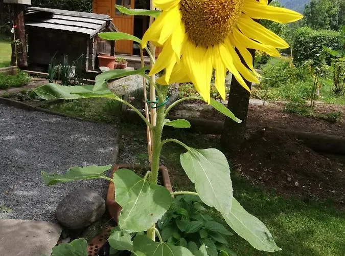 Ferienhaus-roemerthurm