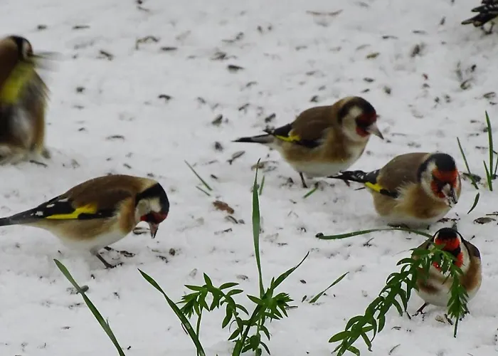 Ferienhaus-roemerthurm
