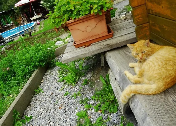 Ferienhaus-roemerthurm Appartement