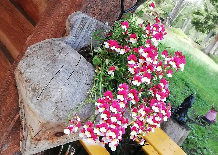 Ferienhaus-roemerthurm Appartement