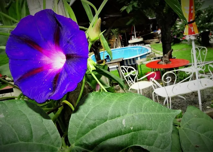 Ferienhaus-roemerthurm