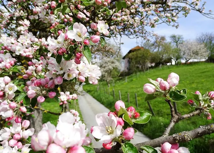 Apartment Ferienhaus-roemerthurm Schoeder